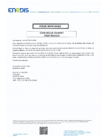 enedis coupures courant vienne