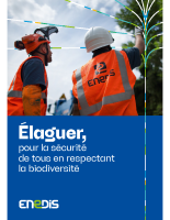 Enedis_plaquette_elagage 2024